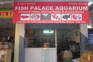 FISH PALACE Aquarium image