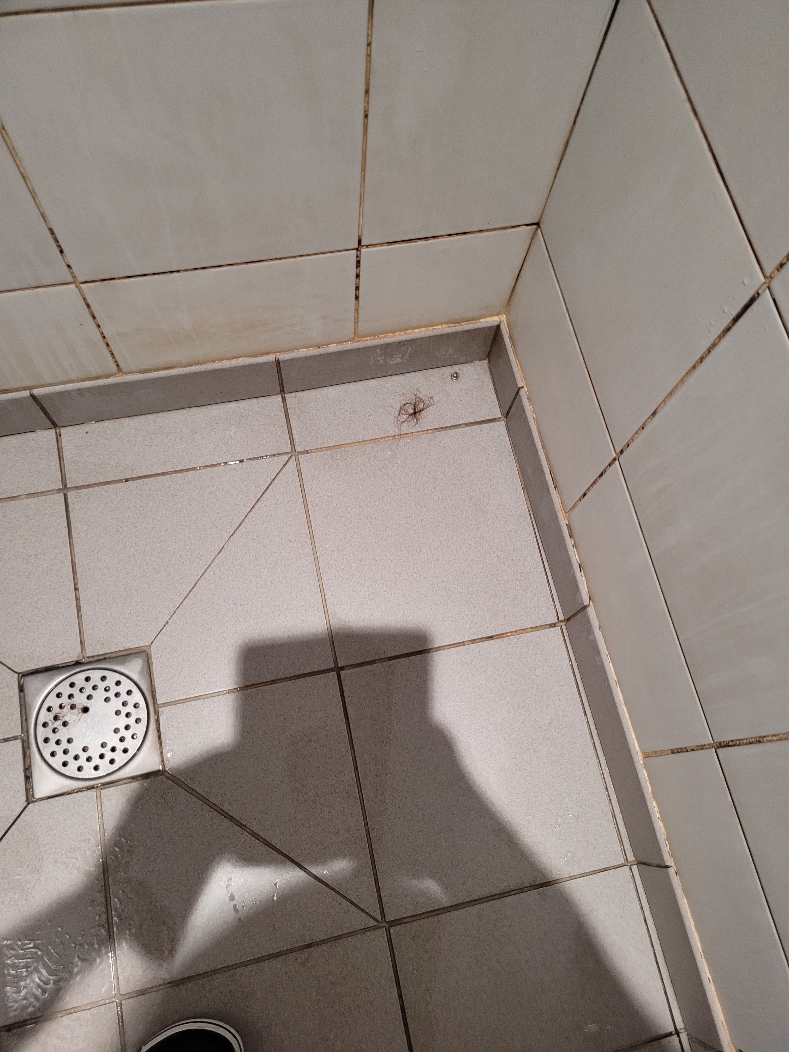 Photo n° 4 de l'avis de Markus.a fait le 23/08/2022 à 12:27