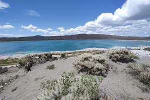 Laguna Alchichica image