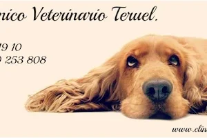 Teruel Veterinary Clinical Center image