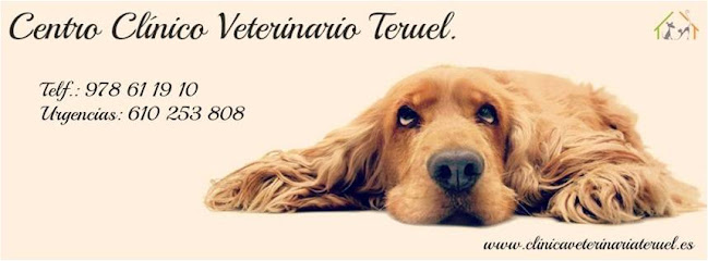 Información y opiniones sobre Centro Clínico Veterinario Teruel de Teruel