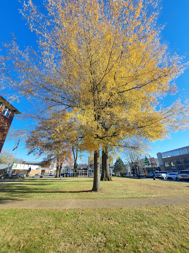 Museum «The Scopes Trial Museum And Rhea County Courthouse», reviews and photos, 1475 Market St #301, Dayton, TN 37321, USA