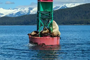 Harv and Marv's Outback Alaska Whale Watching image
