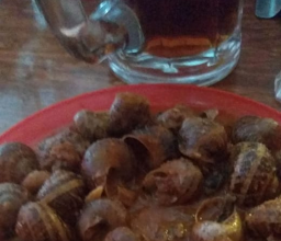 Botanero Bar Pepe photo