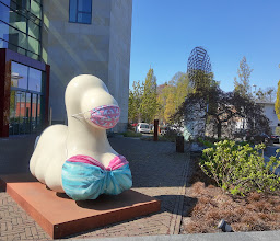 Wohnungsgenossenschaft Gartenheim eG photo