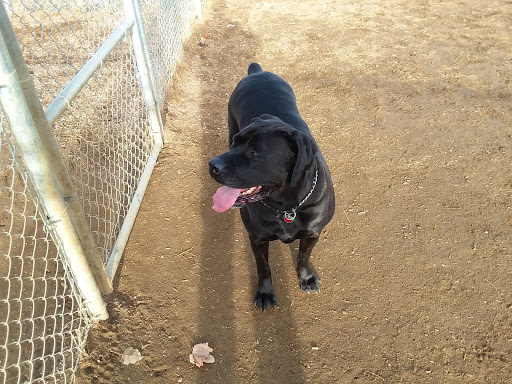 Park «Centennial Park», reviews and photos, 1200 N Last Chance Gulch, Helena, MT 59601, USA