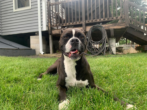 Pet Supply Store «Thomaston Feed of Cheshire», reviews and photos, 851 S Main St, Cheshire, CT 06410, USA