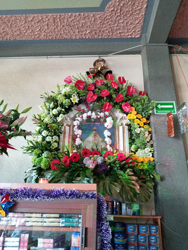 Floreria Florecer – Tlaxcalancingo