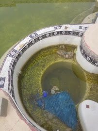 Krause's Pool Care LLC - Photo 5 - Car repair in , Las Vegas