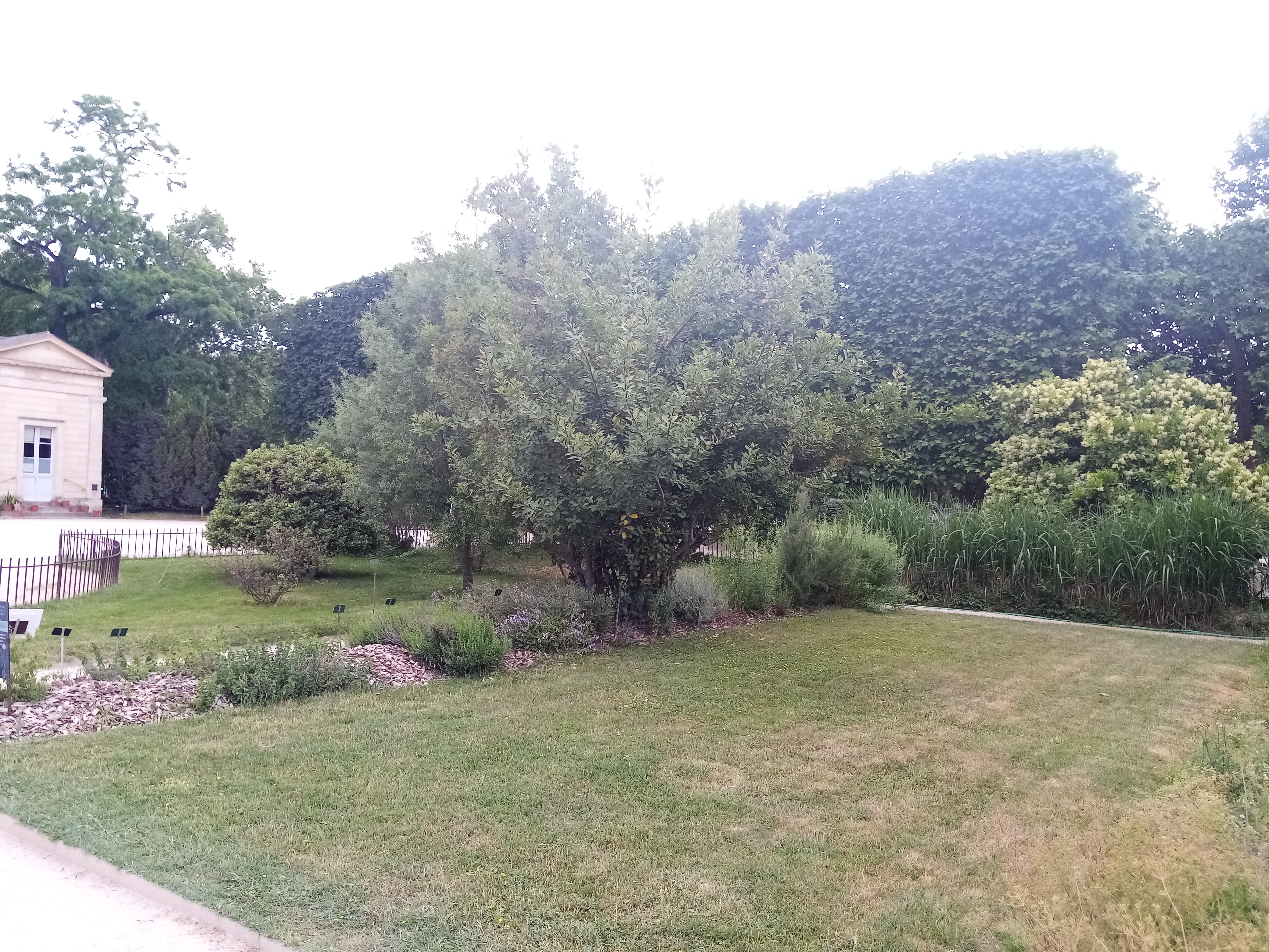 Photo n° 6 de l'avis de Mykola.a fait le 22/05/2022 à 18:49