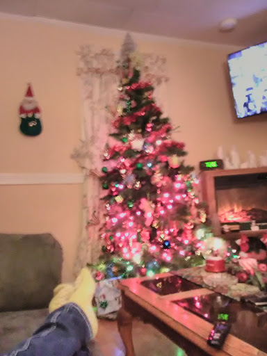 Grocery Store «West Lane Market», reviews and photos, 1207 W Lane St, Shelbyville, TN 37160, USA