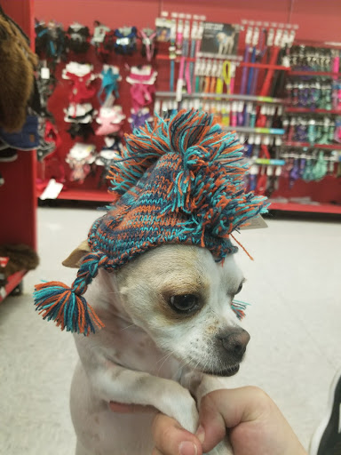Pet Supply Store «Petco Animal Supplies», reviews and photos, 5843 N Elizabeth St, Pueblo, CO 81008, USA
