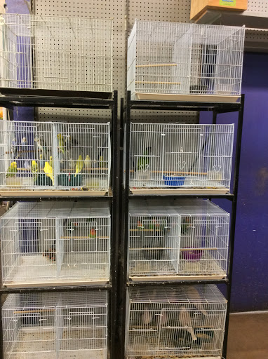 Pet Store «Oasis Tropicals», reviews and photos, 507 Commerce St, Pleasanton, TX 78064, USA