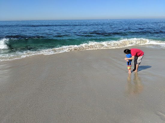 La Jolla Tide Pools