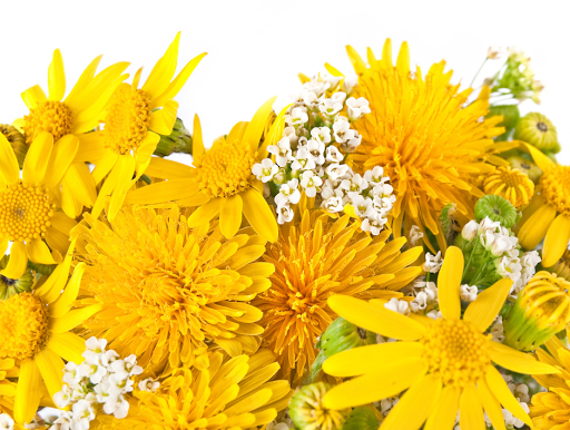 Florist «Accent Flowers», reviews and photos, 312 Wilson Pike Cir, Brentwood, TN 37027, USA