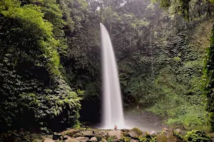 Nungnung Waterfall image