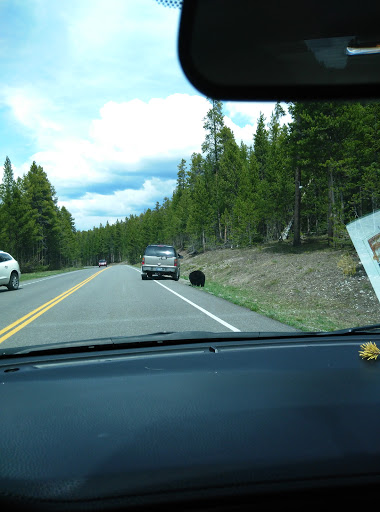 Transmission Shop «ALLTECH Transmissions, Repairs, and Services», reviews and photos, 2227 Seminole Blvd, Largo, FL 33778, USA