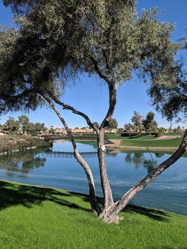 Golf Club «Ocotillo Golf Resort», reviews and photos, 3751 S Clubhouse Dr, Chandler, AZ 85248, USA