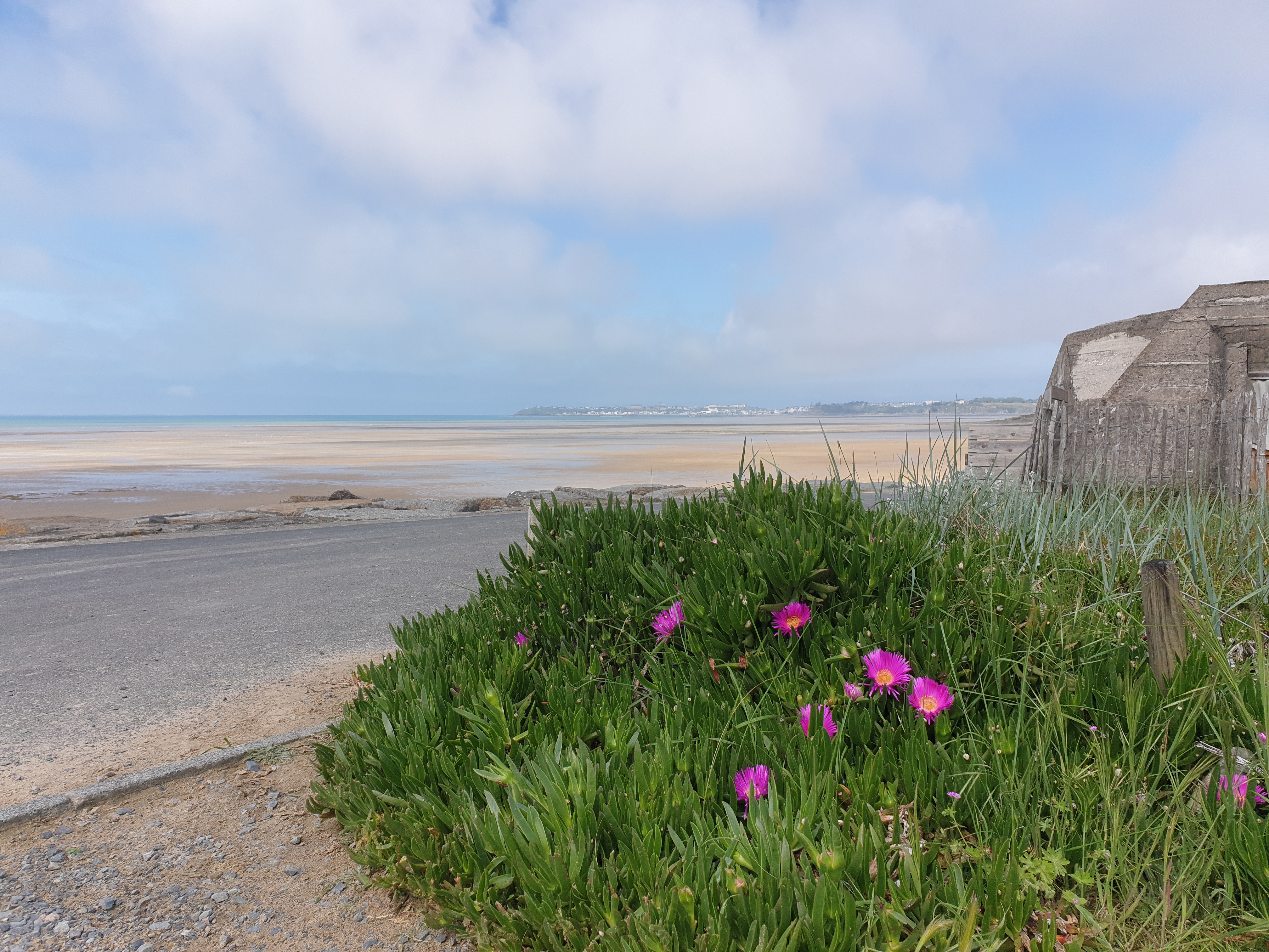 Photo n° 2 de l'avis de Zel.a fait le 19/05/2023 à 14:41