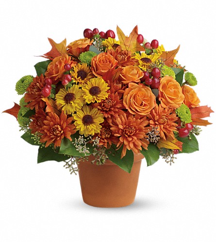 Florist «Creation Station Flowers & Gifts», reviews and photos, 12049 SW 117th Ave, Miami, FL 33186, USA