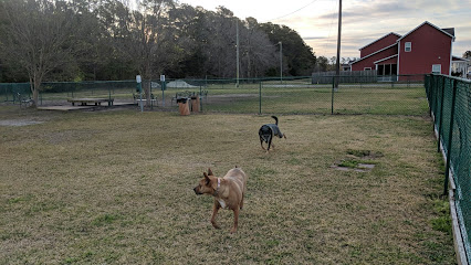 Midway Dog Park #1
