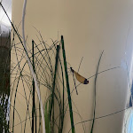 Photo n°6 de l'avis de Chiara.r fait le 13/08/2023 à 06:59 sur le  Hotel Calgary à Casalbordino