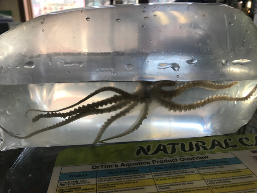 Pet Store «Petfection Exotic Pet Specialist», reviews and photos, 2989 PA-611 Suite 102, Tannersville, PA 18372, USA