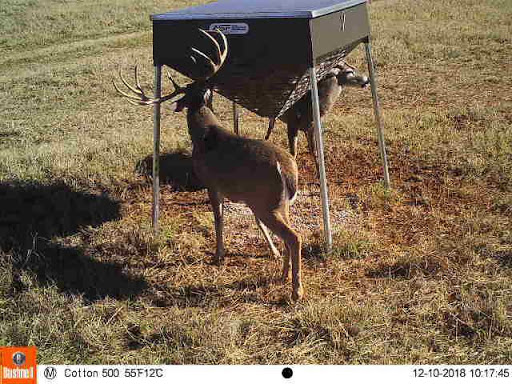 Manufacturer «All Seasons Feeders», reviews and photos, 8424 US Hwy 87 E, San Antonio, TX 78263, USA