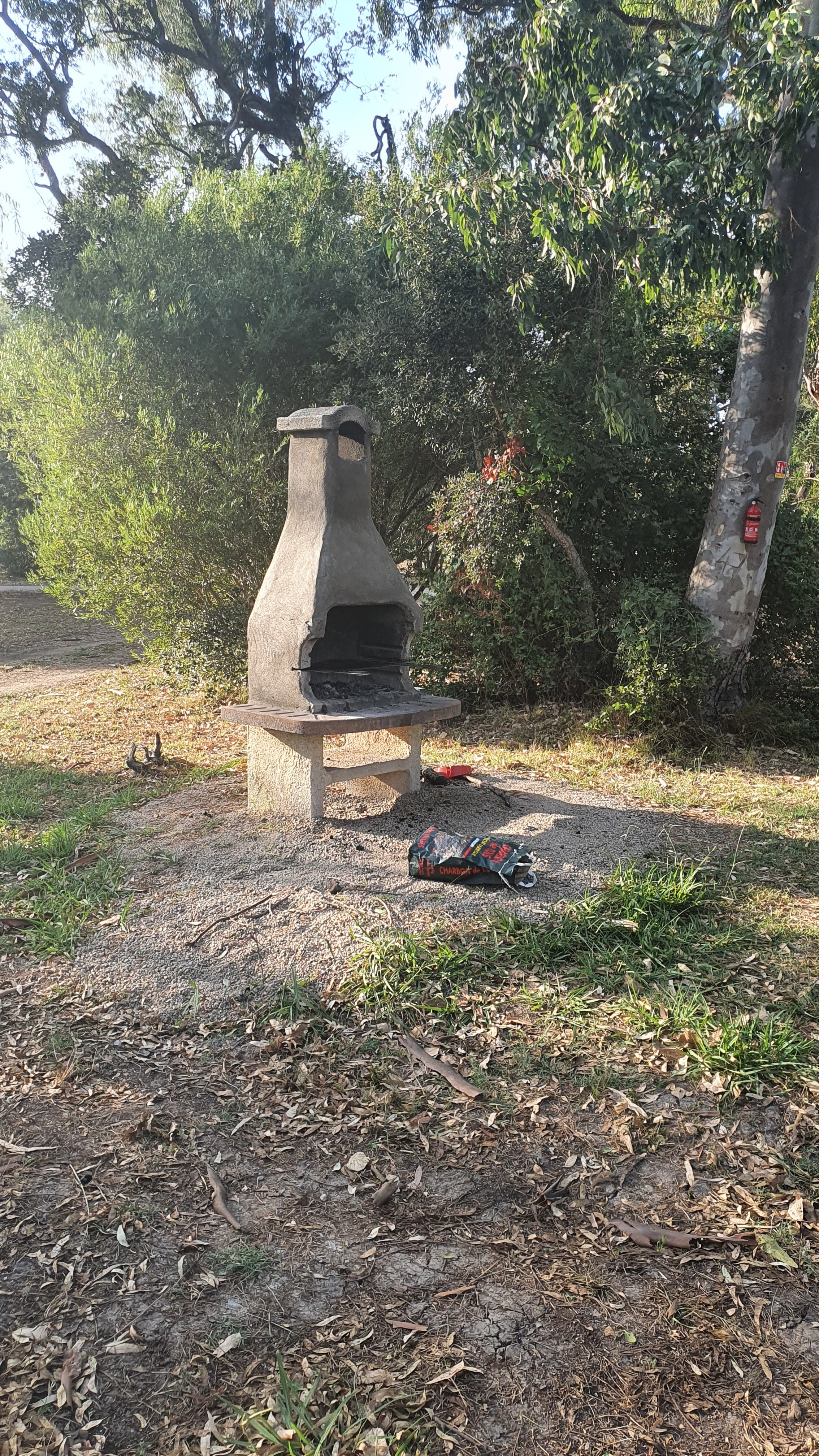 Photo n° 8 de l'avis de Illig.t fait le 16/08/2021 à 19:21