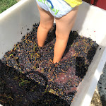 Photo n°2 de l'avis de Ana.a fait le 09/09/2018 à 17:57 sur le  La Rocchetta di Mondondone -azienda vitivinicola con Agriturismo à Mondondone