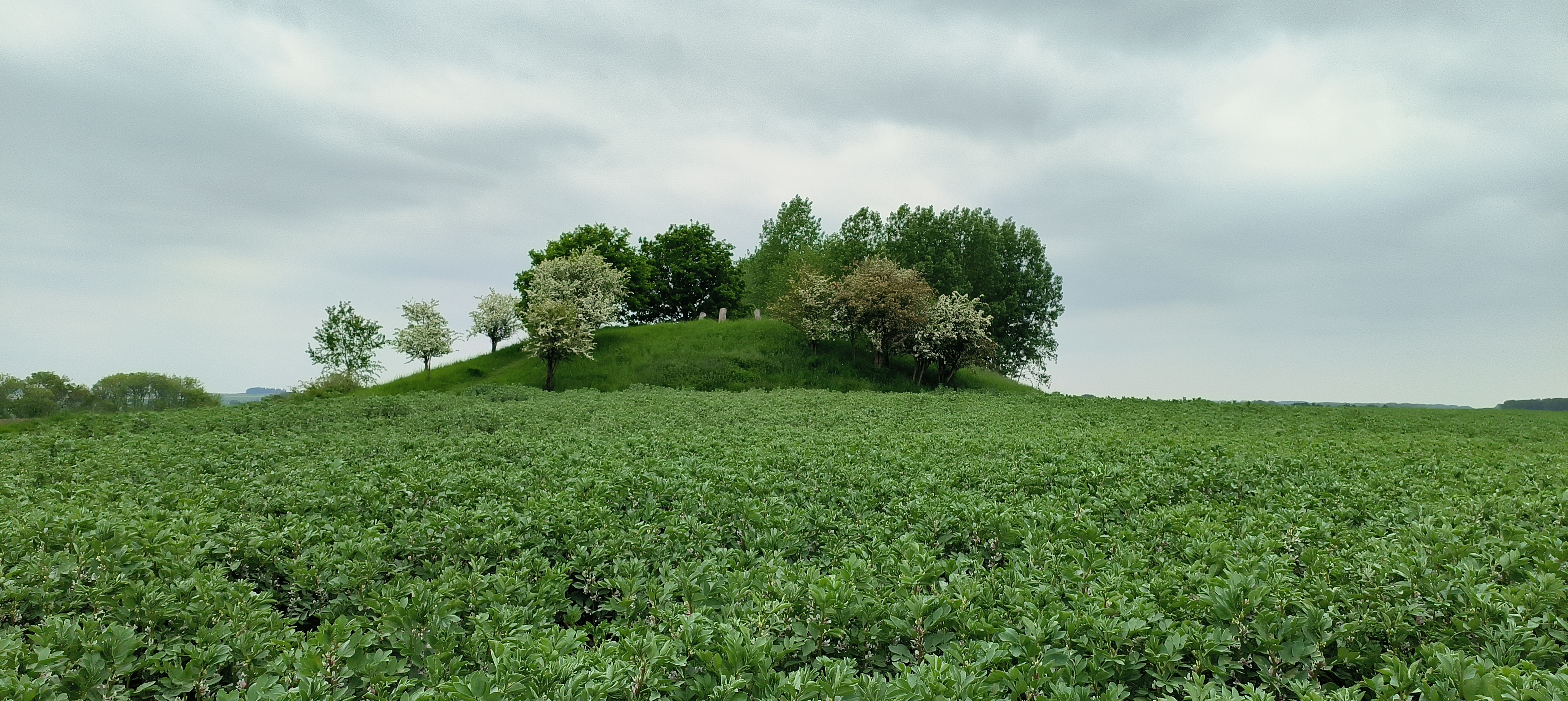 Photo n° 2 de l'avis de Amar.e fait le 21/05/2023 à 16:24