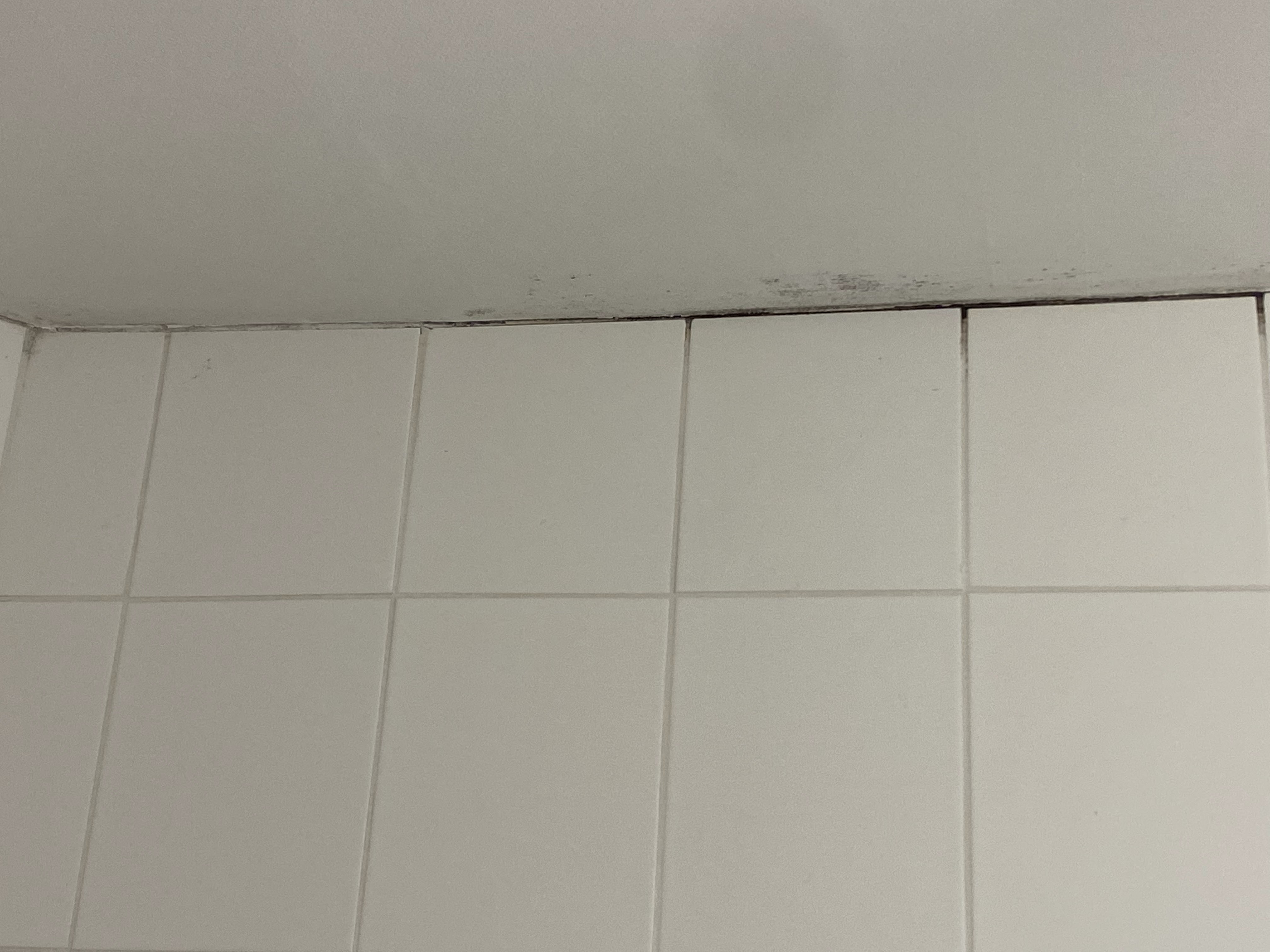 Photo n° 4 de l'avis de Vincent.e fait le 20/09/2021 à 19:27