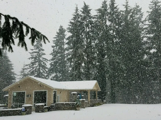 Winery «Noble Estate Vineyard and Winery», reviews and photos, 29210 Gimpl Hill Rd, Eugene, OR 97402, USA