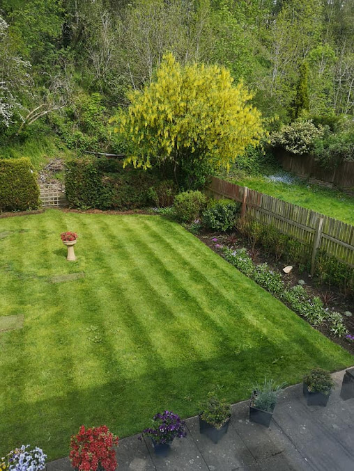 Halesowen طب الأسنان الممارسة - Halesowen Dental Practice