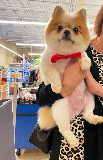 Pet Supply Store «PetSmart», reviews and photos, 4429 Pecanland Mall Dr, Monroe, LA 71203, USA