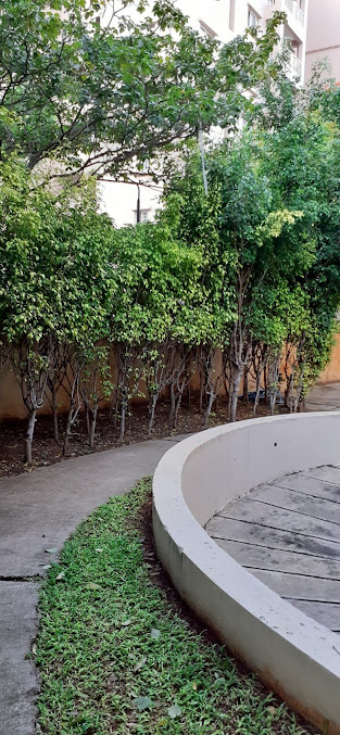 Google Maps image 33