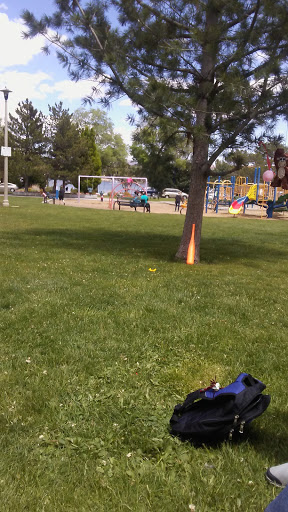 Nature Preserve «Virginia Lake», reviews and photos, 1980 Lakeside Dr, Reno, NV 89509, USA