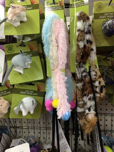 Dollar Store «Dollar Tree», reviews and photos, 1952 State Rd 44, New Smyrna Beach, FL 32168, USA