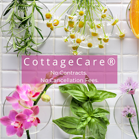 Cottage Care Seattle & Olympia - Photo 5 - Car repair in Kent, WA, Tacoma