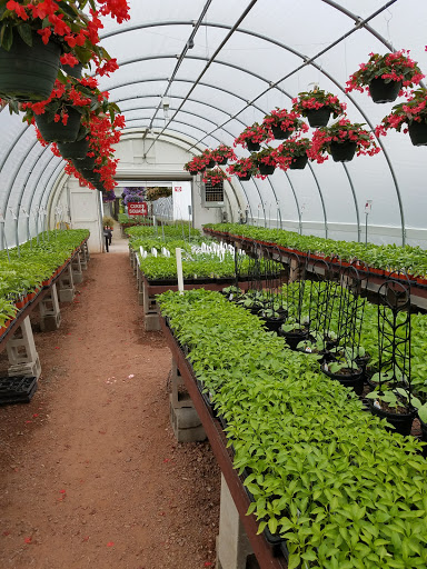 Florist «Countryside Flower Shop», reviews and photos, 5301 E Terra Cotta Ave, Crystal Lake, IL 60014, USA