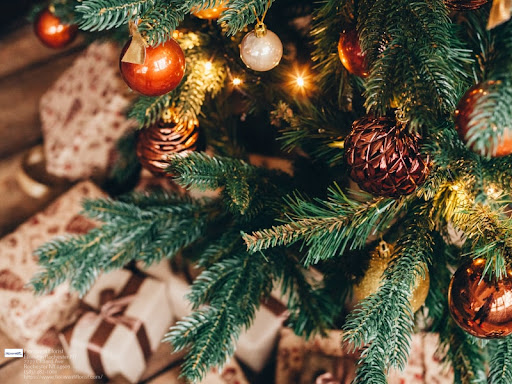 Florist «Fioravanti Florist», reviews and photos, 2279 Clifford Ave, Rochester, NY 14609, USA