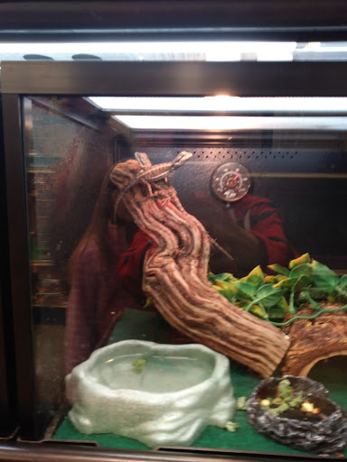 Pet Supply Store «PetSmart», reviews and photos, 450 Fairview Ave, Hudson, NY 12534, USA