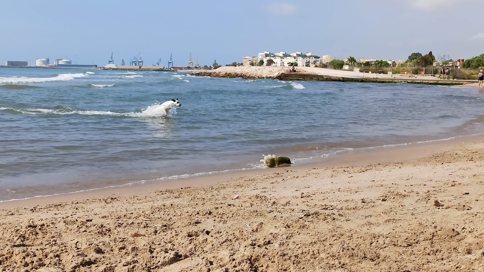 Valokuva Playa de Canetista. pinnalla vihreä vesi:n kanssa