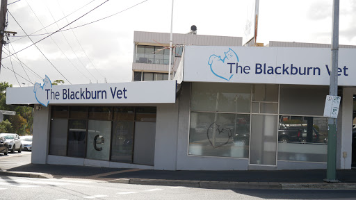 The Blackburn Vet