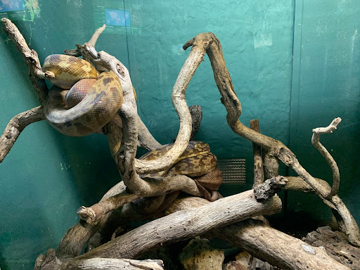 Reptile & Amphibian House