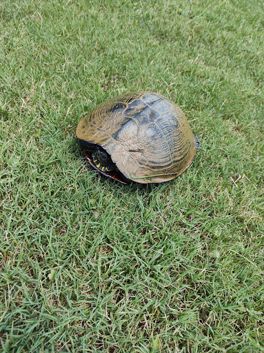 Private Golf Course «Cabin Creek Golf Club», reviews and photos, 1374 N 2nd St, Griffin, GA 30223, USA