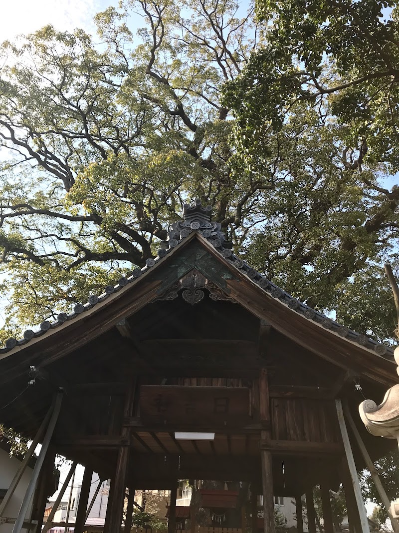 日吉神社のクスノキ(小牧市指定天然記念物)