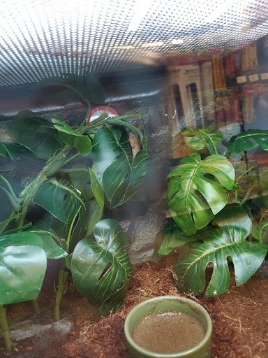 Pet Supply Store «Petco Animal Supplies», reviews and photos, 1310 Tingle Cir E b, Mobile, AL 36606, USA