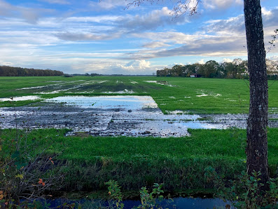 Tt Buitenweg 1, 8413 NW Oudehorne, Nederland