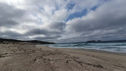 Reef Beach'in fotoğrafı vahşi alan